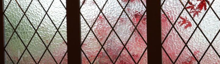 Red leaves through a frosted glass window